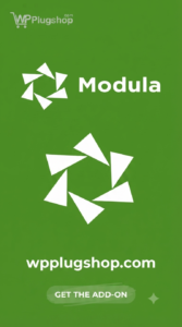 Modula Pro: Professional WordPress Gallery & Portfolio Plugin