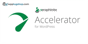 Seraphinite Accelerator 2.29.15 – WordPress Speed Optimization & Cache Plugin