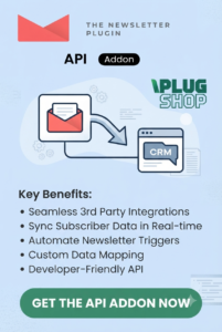 Newsletter API Addon – WordPress Newsletter REST API Integration Plugin