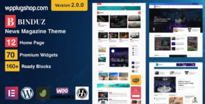 Binduz Theme 2.7.0 – Modern Blog, Magazine & Newspaper WordPress Theme for Professional Publishers