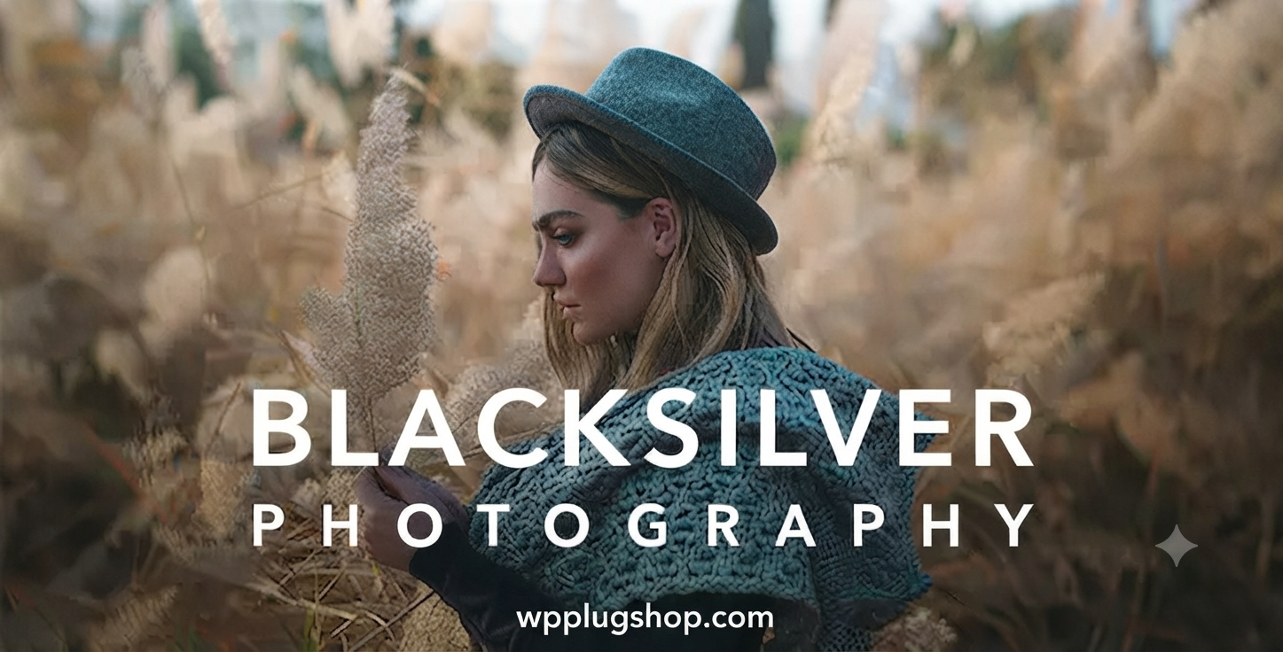 Blacksilver Theme 9.7 – Photography WordPress Theme for Creative Portfolios