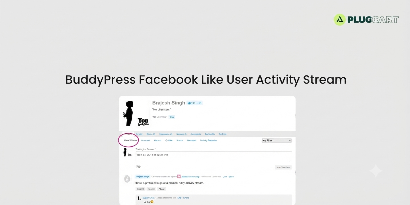 BuddyPress Facebook Like User Activity Stream for WordPress – Personalized Community News Feed