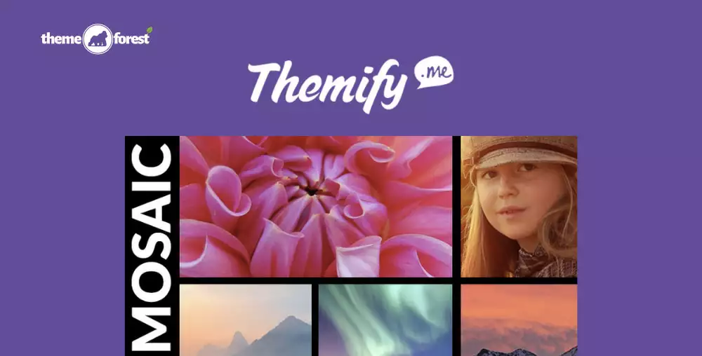 Themify Builder Mosaic 3.5.8 – Responsive Mosaic & Masonry Layout Addon for WordPress