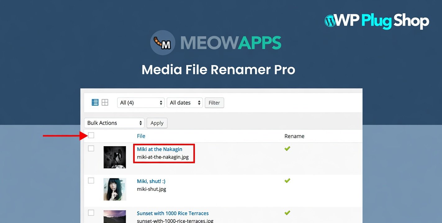 X1wCj Media File Renamer Pro 6.2.8 – WordPress Media File Renaming & SEO Plugin