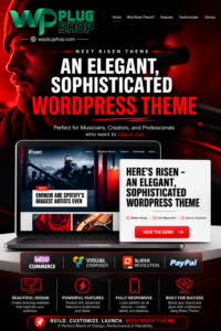 Risen Theme – SEO-Friendly Responsive WordPress Theme