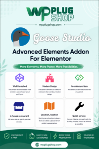 Advanced Elements Addon for Elementor – ACF Repeater & Dynamic Content