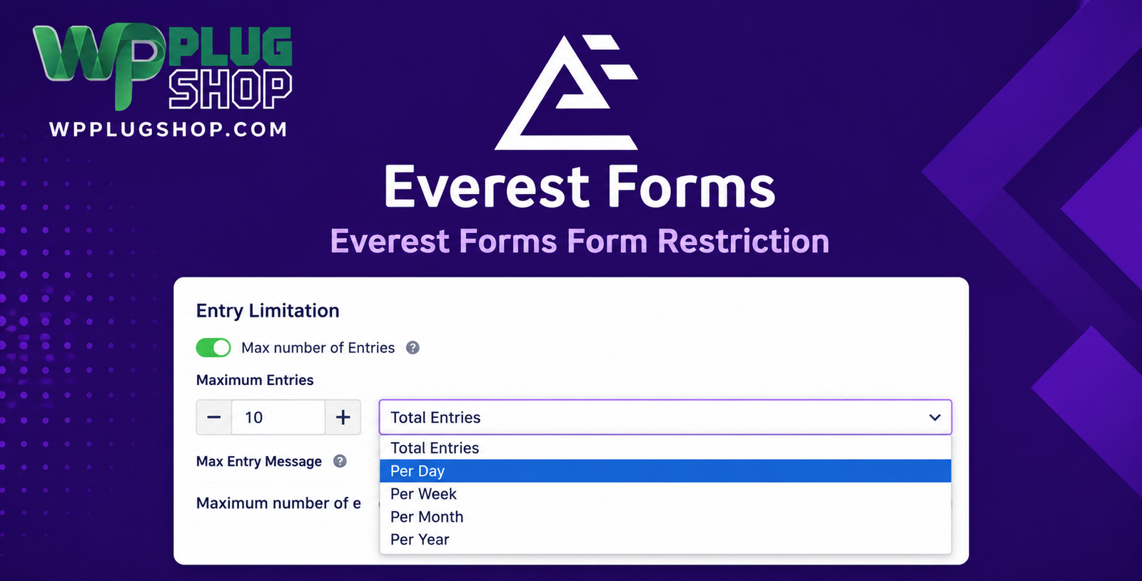 Everest Forms Form Restriction