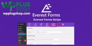 Everest Forms Stripe – Payment Gateway Addon